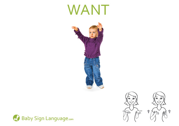 Want Baby Sign Language Flash card