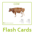 Baby Sign Language Flash Cards