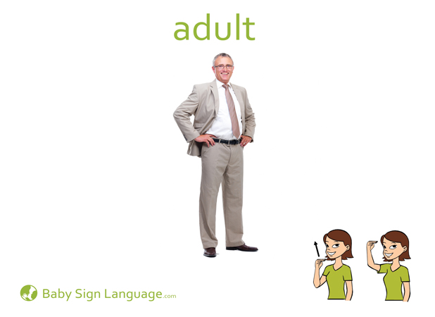 Adult Flash Cards 59