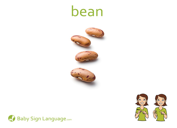 bean-Baby-Sign-Language Bean Baby Sign Language Flash card