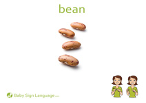 Bean Flash Card Thumbnail