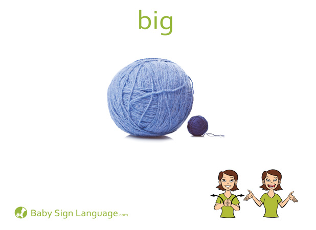big-Baby-Sign-Language Big Baby Sign Language Flash card