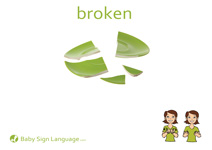 Broken Flash Card Thumbnail