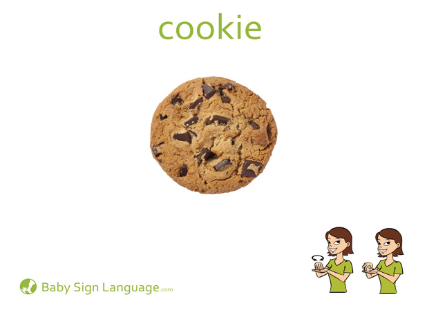 Cookie Baby Sign Language Flash card