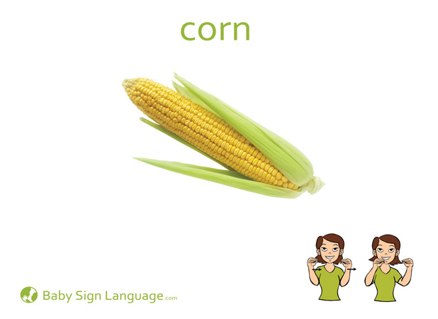 corn-Baby-Sign-Language Corn Baby Sign Language Flash card