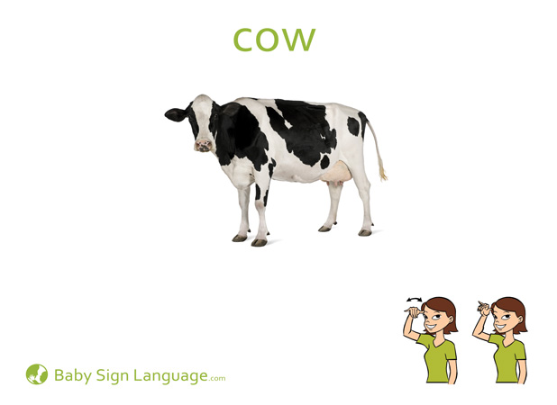 American Sign Language - Dictionary by Merriam-Webster