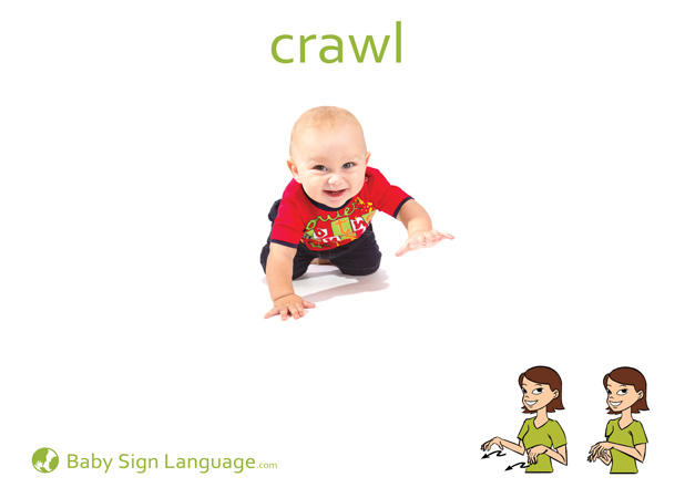 crawl-Baby-Sign-Language Crawl Baby Sign Language Flash card