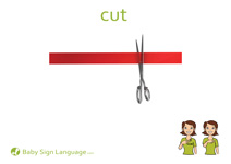 Cut Flash Card Thumbnail