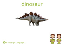 Dinosaur Flash Card Thumbnail