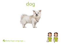 Dog Flash Card Thumbnail