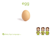Egg Flash Card Thumbnail