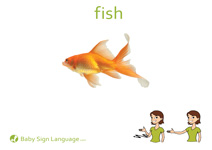 Fish Flash Card Thumbnail