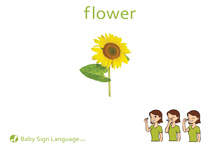 Flower Flash Card Thumbnail