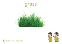 Grass Flash Card Thumbnail