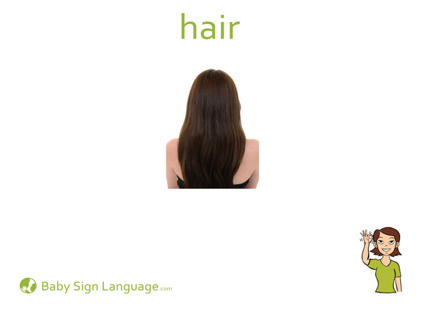 Hair Baby Sign Language Flash card