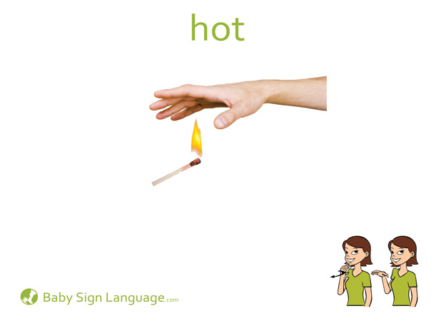 Hot Baby Sign Language Flash card
