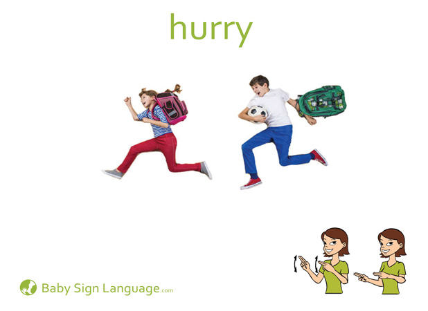 Hurry Baby Sign Language Flash card