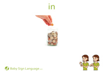 In Flash Card Thumbnail