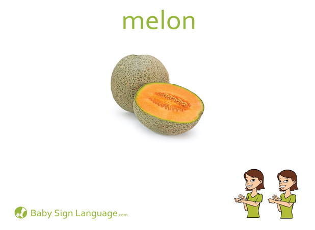 Melon Flash Card