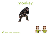 Monkey Flash Card Thumbnail