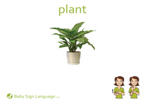 Plant Flash Card Thumbnail