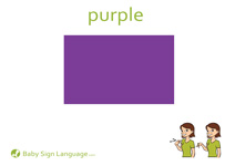 Purple Flash Card Thumbnail