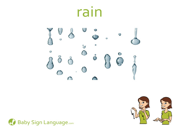 Rain Baby Sign Language Flash card