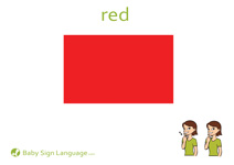 Red Flash Card Thumbnail