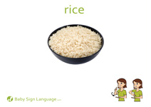 Rice Flash Card Thumbnail