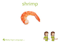 Shrimp Flash Card Thumbnail
