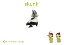 Skunk Flash Card Thumbnail