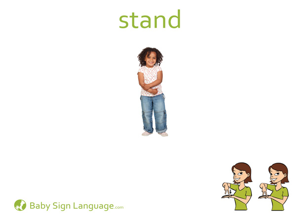 Stand Baby Sign Language Flash card