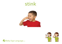 Stink Flash Card Thumbnail