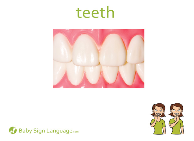 Teeth Baby Sign Language Flash card