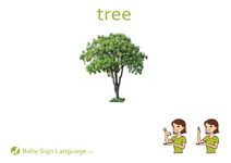 Tree Flash Card Thumbnail