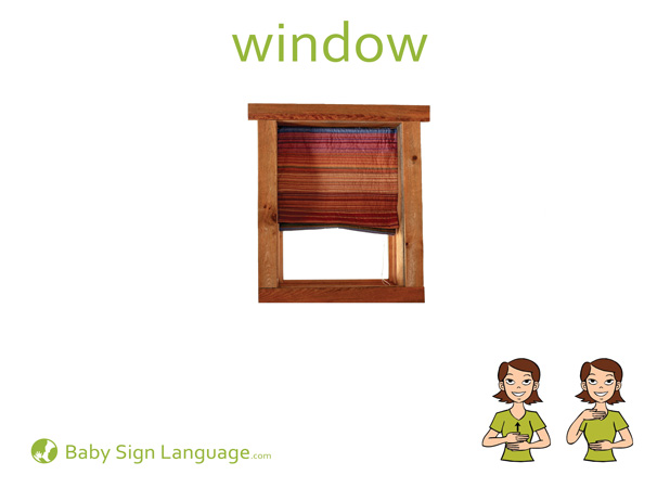 window-Baby-Sign-Language Window Baby Sign Language Flash card