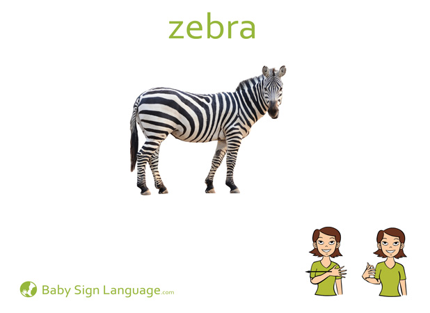 Makaton animals information