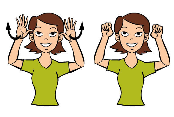 President in Baby Sign Language