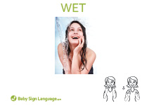 Wet Flash Card Thumbnail