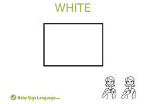 White Flash Card Thumbnail