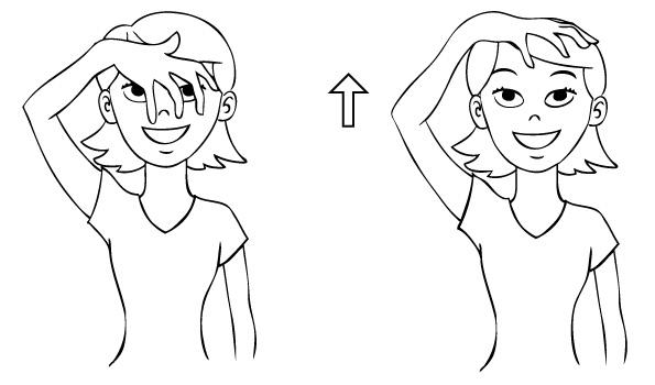 Image result for sign language lion